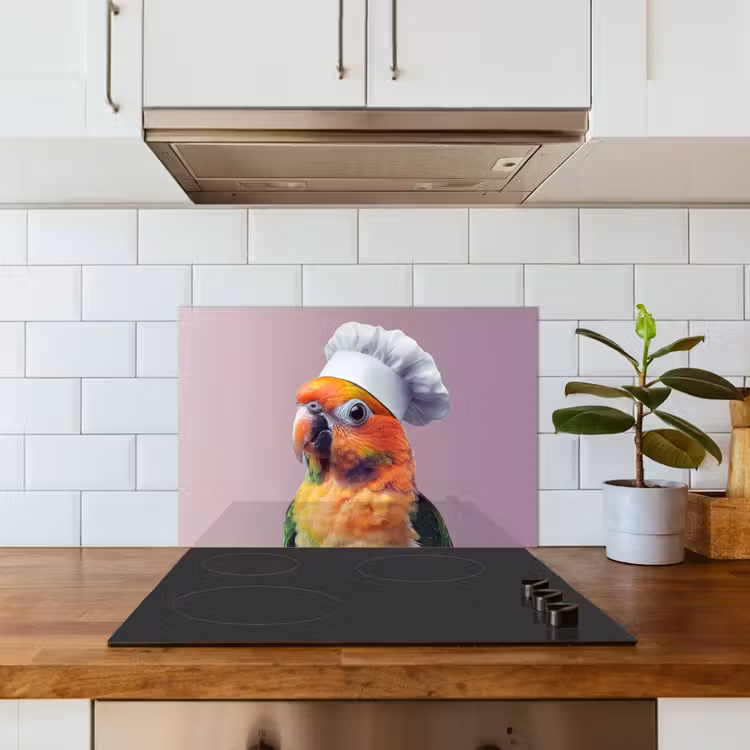 Spritzschutz Küche - Papagei - Kochmütze - Neugierig - Vogel — 3