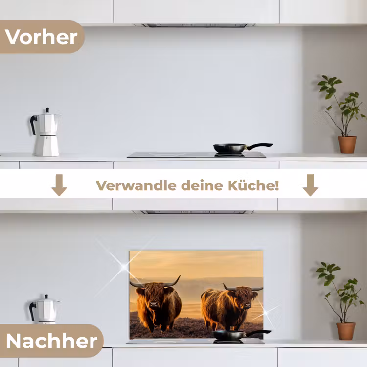 Spritzschutz Küche - Schottische Hochlandbewohner - Heide - Landschaft - Tiere — 7