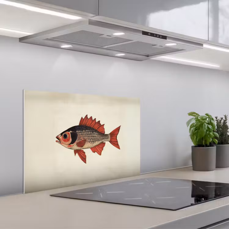 Spritzschutz Küche - Schuppen - Rot - Fisch - Flossen — 1
