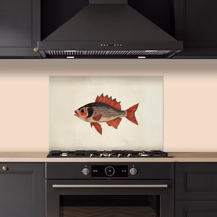 Spritzschutz Küche - Schuppen - Rot - Fisch - Flossen — 5