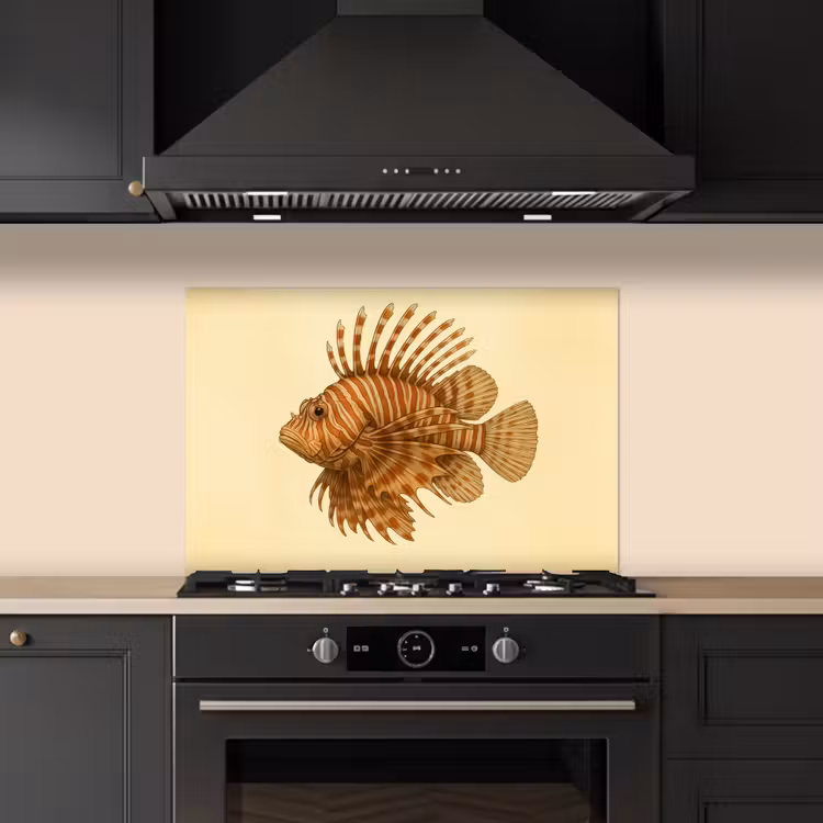 Spritzschutz Küche - Streifen - Fisch - Rund - Stacheln — 5