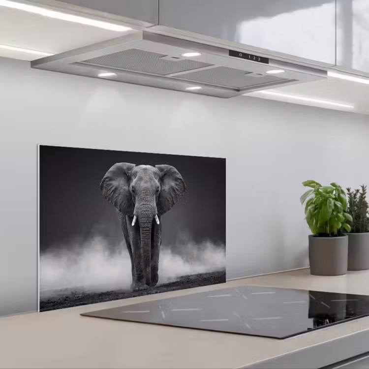 Spritzschutz Küche - Elefant - Schwarz - Weiß - Rauch — 1