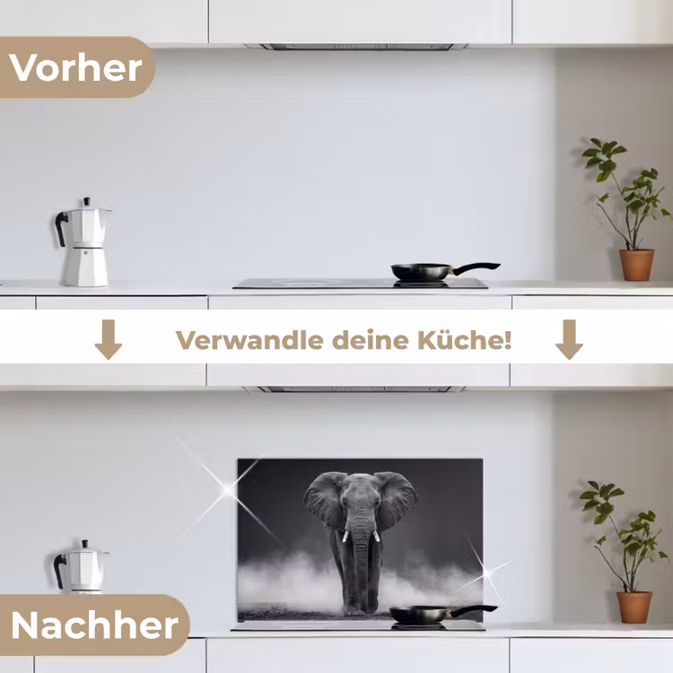 Spritzschutz Küche - Elefant - Schwarz - Weiß - Rauch — 7