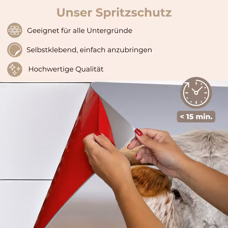 Spritzschutz Küche - Longhorn - Grasfeld - Tier — 4