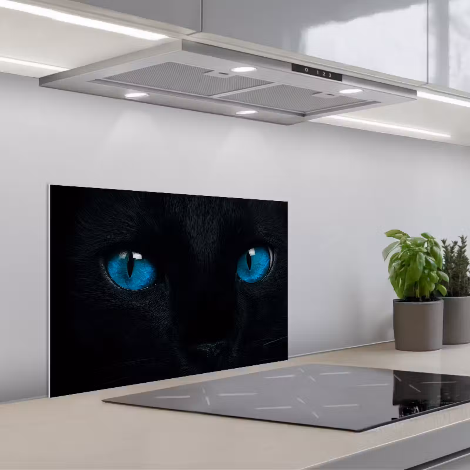 Spritzschutz Küche - Katze - Blau - Tier - Schwarz — 1