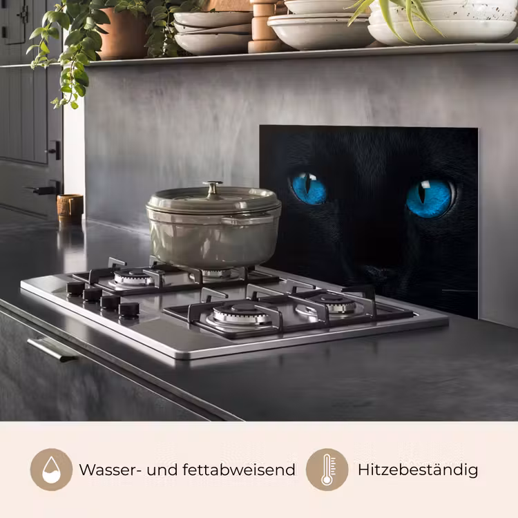 Spritzschutz Küche - Katze - Blau - Tier - Schwarz — 2