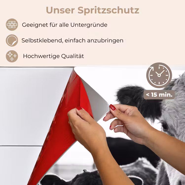 Spritzschutz Küche - Kühe - Schwarz und weiß — 4