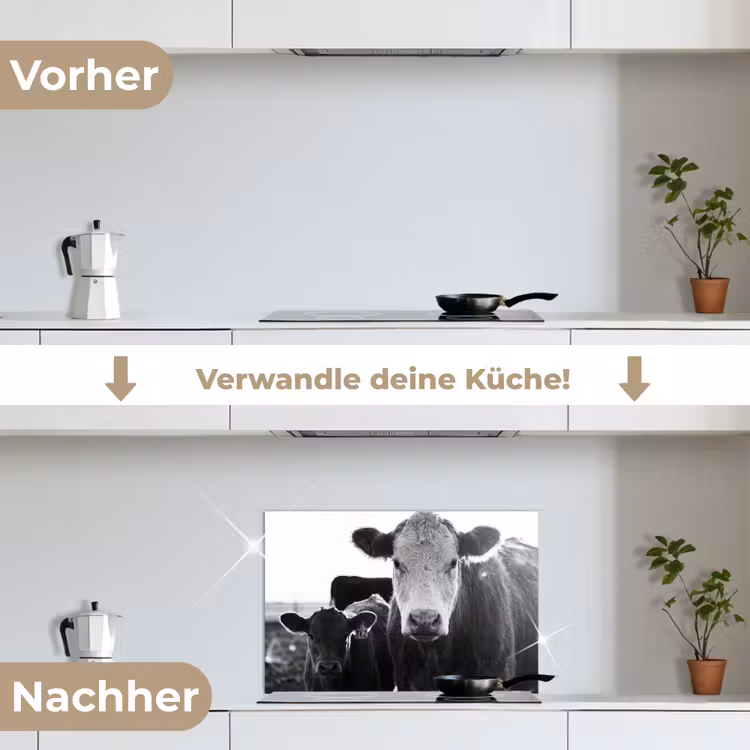 Spritzschutz Küche - Kühe - Schwarz und weiß — 7