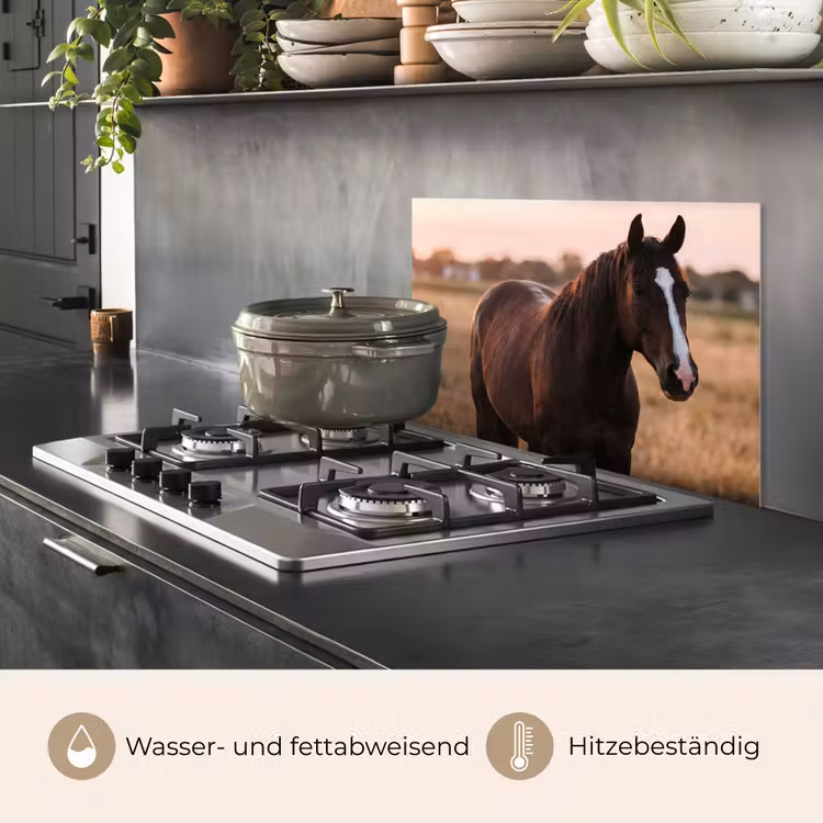 Spritzschutz Küche - Pferd - Sonnenuntergang - Braun — 2