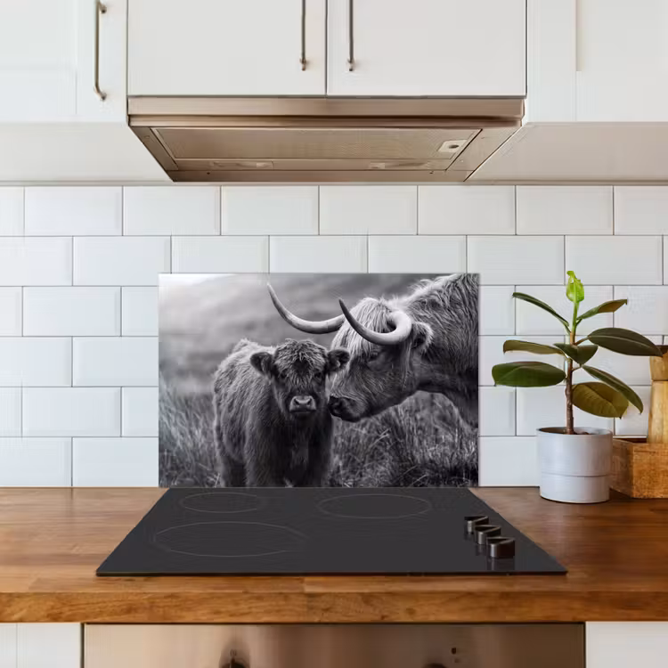 Spritzschutz Küche - Schottischer Highlander - Kalb - Schwarz - Weiß — 3