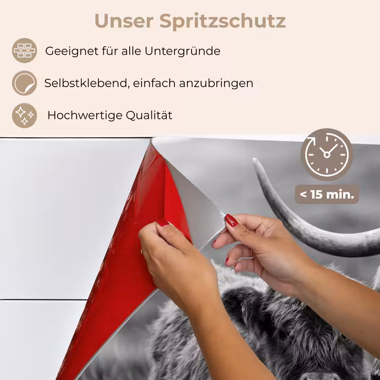Spritzschutz Küche - Schottischer Highlander - Kalb - Schwarz - Weiß — 4