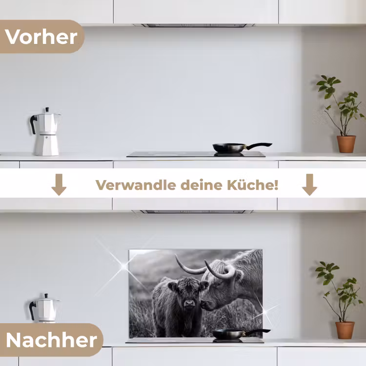 Spritzschutz Küche - Schottischer Highlander - Kalb - Schwarz - Weiß — 7