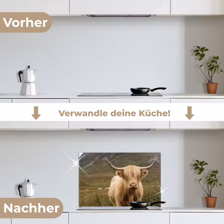 Spritzschutz Küche - Schottischer Hochländer - Bergen - Grasfeld — 7
