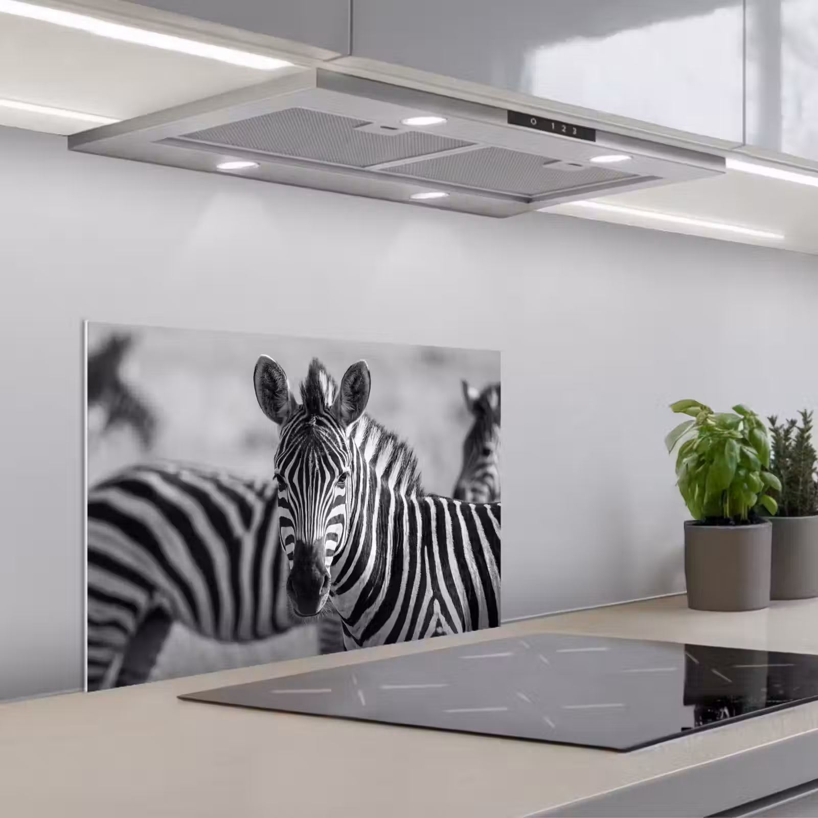 Spritzschutz Küche - Zebras - Schwarz - Weiß — 1