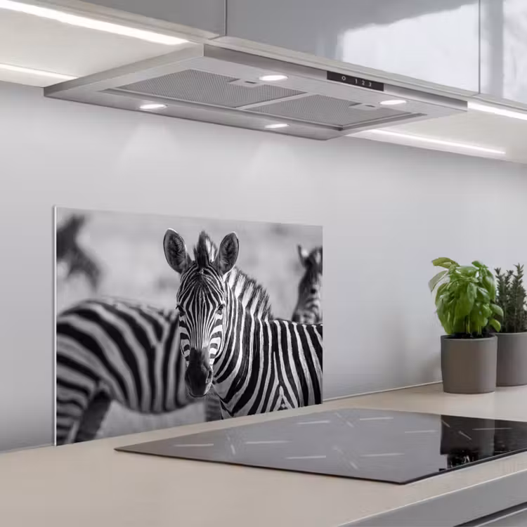 Spritzschutz Küche - Zebras - Schwarz - Weiß — 1