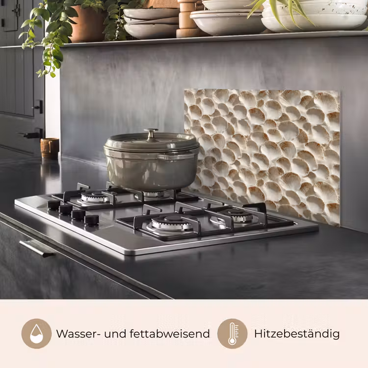 Spritzschutz Küche - Muscheln - Fächerform - Weiß — 2