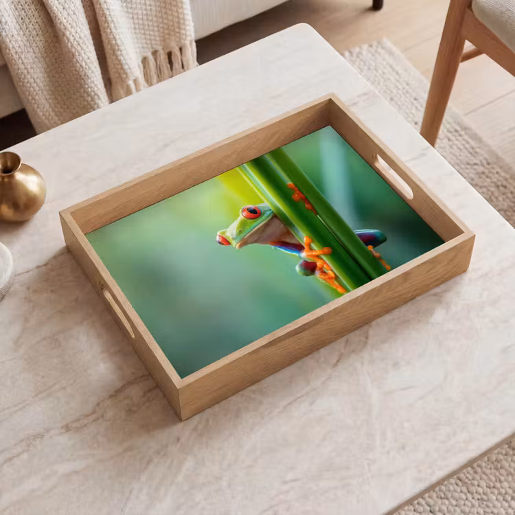 Tablett - Grüner Frosch - Neugierig - Gras — 2