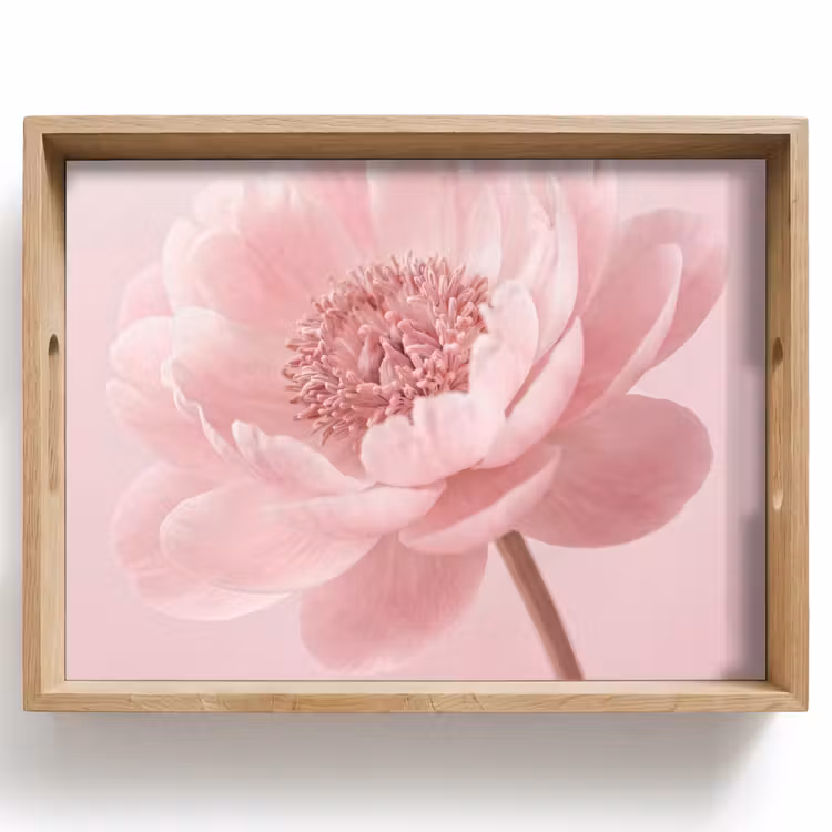 Tablett - Blume - Pfingstrose - Rosa — 1