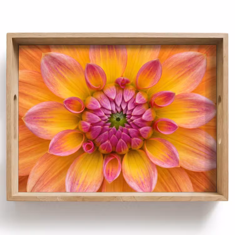 Tablett - Dahlie - Blume - Orange — 1