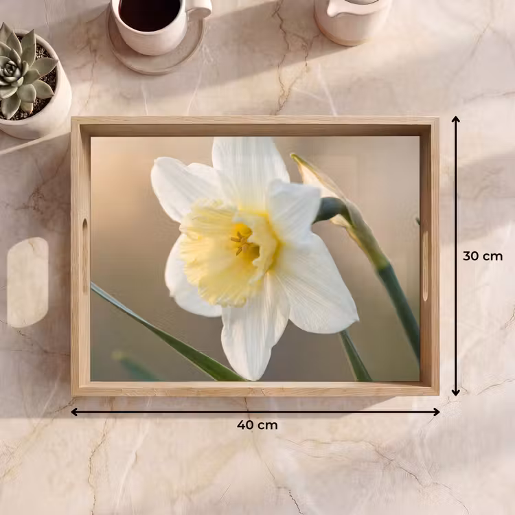 Tablett - Narzisse - Blume - Minimalistisch — 7