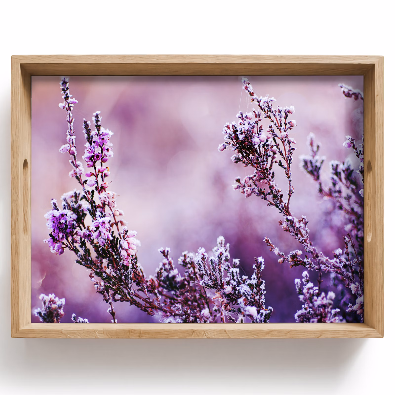 Tablett - Lavendel - Winter - Blumen - Lila — 1