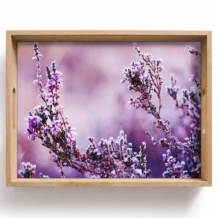 Tablett - Lavendel - Winter - Blumen - Lila — 1