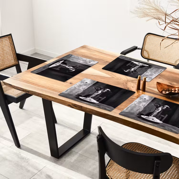 Tischset - Ziege - Teller - Spaghetti - Schwarz und weiß - 6 Stück — 4