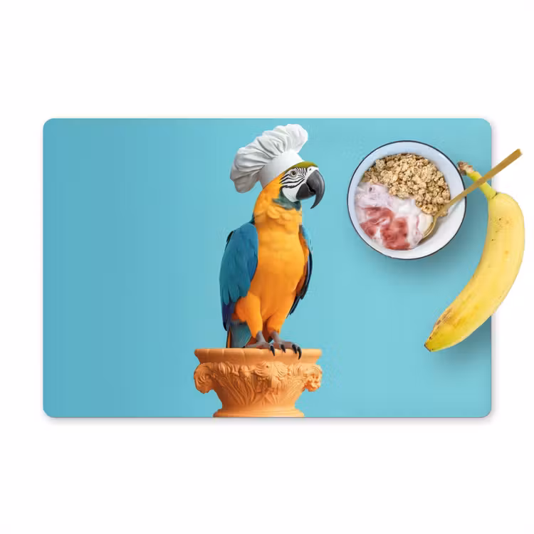 Tischset - Papagei - Kochmütze - Lustig - Vogel — 1