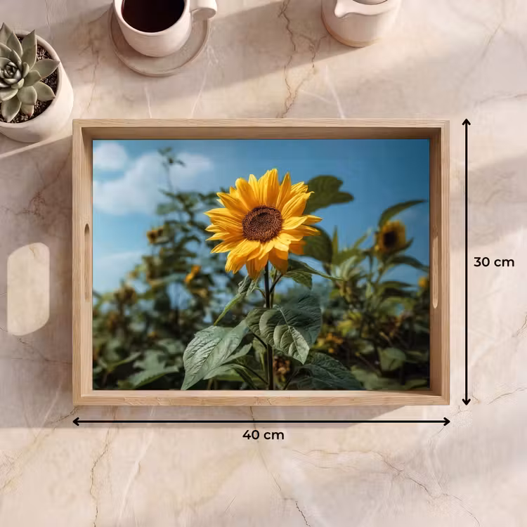 Tablett - Sonnenblumen - Strahlend blauer Himmel - Gras — 7